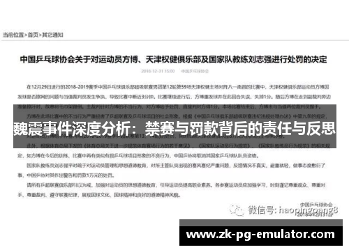 魏震事件深度分析：禁赛与罚款背后的责任与反思