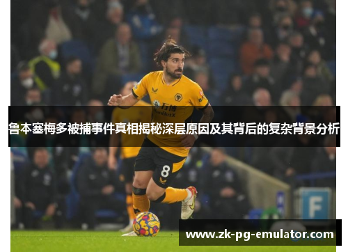 鲁本塞梅多被捕事件真相揭秘深层原因及其背后的复杂背景分析